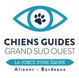 Chiens guides Alienor grand sud ouest